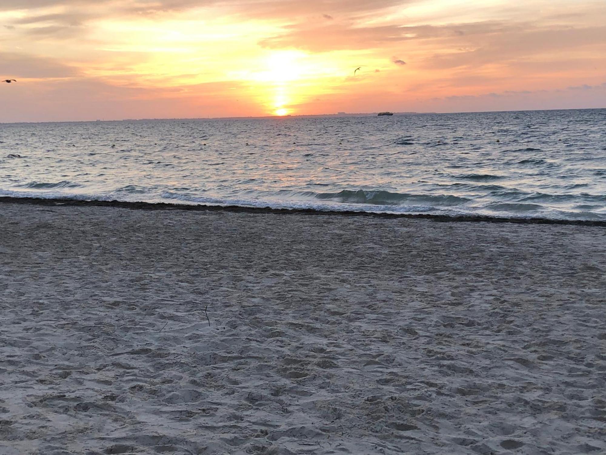 Cancun Ocean View Playa Del Nino Eksteriør bilde