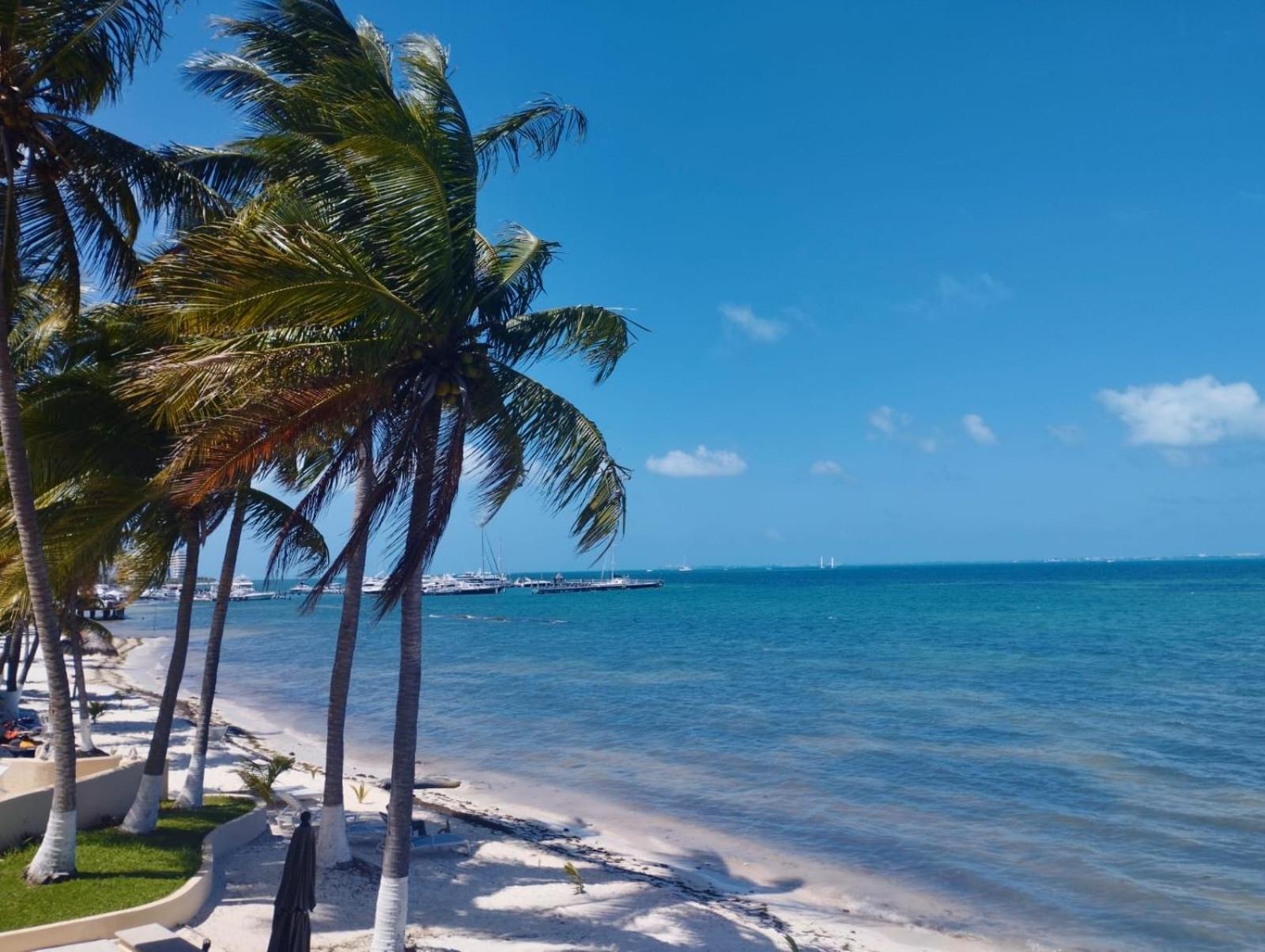 Cancun Ocean View Playa Del Nino Rom bilde